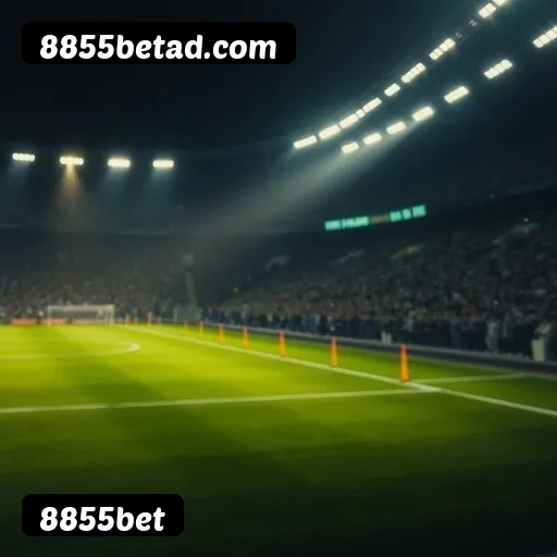 Estatísticas de bônus da 8855bet em São Paulo, Rio de Janeiro e Brasília